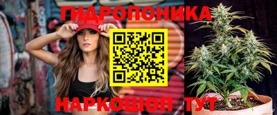 дмт Краснодар