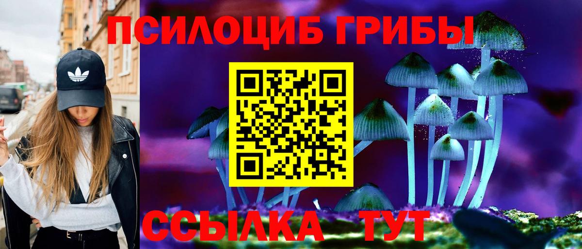 Чапаевск  сколько стоит  Вход с VPN  Псилоцибиновые грибы Psilocybe 